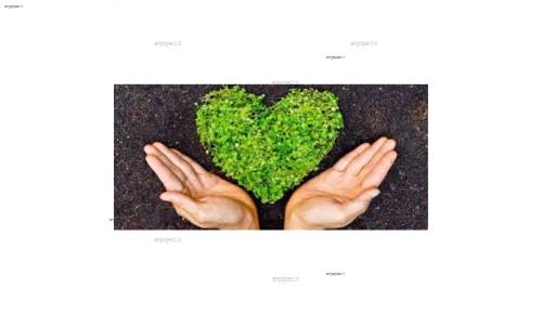 بررسی نیازهای تفرجی بازدیدکنندگان پارک ملی بمو